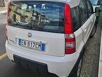 Usata Fiat Panda 4x4 2011 Bianco Utilitaria