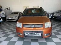 Usata Fiat Panda 4x4 Climbing 60 CV (44 kW) 2007 Bronzo Utilitaria