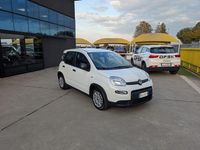 Usata Fiat Panda S 70 CV (51 kW) 2023 Bianco / pastello