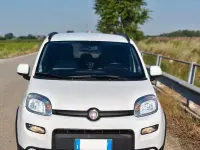 Usata Fiat Panda 90 CV (66 kW) 2017 Bianco Utilitaria
