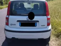 Usata Fiat Panda 60 CV (44 kW) 2009 Bianco Utilitaria