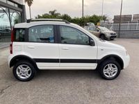 usata Fiat Panda 4x4 1.2 4x4 Climbing