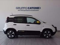 Usata Fiat Panda Icon 70 CV (51 kW) 2025 Bianco Utilitaria