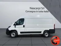 Usata Fiat Ducato 140 CV (102 kW) 2024 Bianco ghiaccio Furgone