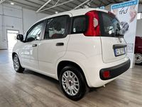 usata Fiat Panda 1.0 N1 Hybrid Easy Van 4 posti Autocarro