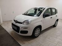Nuova Fiat Panda Icon 69 CV (50 kW) 2025 Bianco Berlina