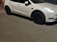 usata Tesla Model Y Long Range Dual Motor awd