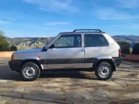 Usata Fiat Panda 4x4 Trekking 54 CV (39 kW) 2002 Argento Utilitaria