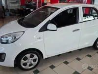 Usata Kia Picanto 67 CV (49 kW) 2014 Bianco Utilitaria