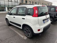 usata Fiat Panda Cross 1.0 FireFly S&S Hybrid City del 2020 usata a Verdello