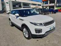 Usata Land Rover Range Rover evoque 150 CV (110 kW) 2016 Bianco SUV