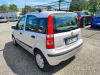 Usata Fiat Panda Dynamic 60 CV (44 kW) 2009 Grigio Utilitaria