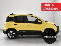 Usata Fiat Panda Cross Cross 70 CV (51 kW) 2025 Giallo Utilitaria