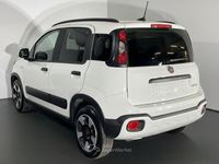 Usata Fiat Panda Cross Cross 70 CV (51 kW) 2024 Bianco Utilitaria