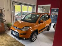 Usata Fiat Panda 4x4 75 CV (55 kW) 2013 Utilitaria
