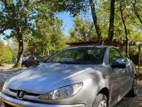 Usata Peugeot 206 CC Quiksilver 109 CV (80 kW) 2005 Grigio Cabrio