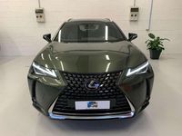Usata Lexus UX Luxury Line 145 CV (106 kW) 2019 Verde SUV