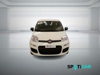 Nuova Fiat Panda S 69 CV (50 kW) 2025 Bianco Utilitaria