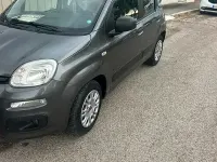Usata Fiat Panda 95 CV (69 kW) 2017 Utilitaria