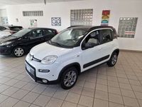 usata Fiat Panda 4x4 1.3mjt 75cv OK NEOPATENTATI