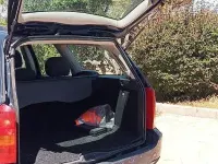 Usata Ford Focus 90 CV (66 kW) 2002 Blu Station wagon