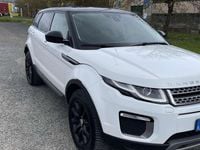 Usata Land Rover Range Rover evoque 150 CV (110 kW) 2017 SUV