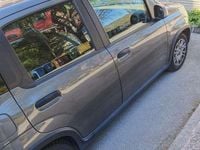 Usata Fiat Panda S 69 CV (50 kW) 2022 Utilitaria