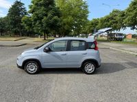 Usata Fiat Panda City Life 70 CV (51 kW) 2023 Grigio Utilitaria