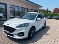 Usata Ford Kuga ST-Line X 120 CV (88 kW) 2021 Bianco SUV