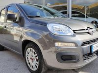 Usata Fiat Panda S 69 CV (50 kW) 2021 Grigio Utilitaria