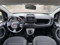Usata Fiat Panda City Life 69 CV (50 kW) 2023 Grigio Utilitaria