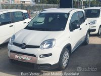Usata Fiat Panda S 70 CV (51 kW) 2023 Bianco Utilitaria