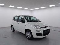 Nuova Fiat Panda Pop 69 CV (50 kW) 2025 Bianco Berlina
