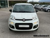 Usata Fiat Panda 80 CV (58 kW) 2018 Bianco Utilitaria