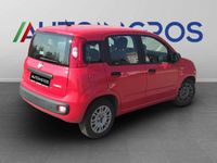 Usata Fiat Panda Connect 69 CV (50 kW) 2021 Rosso Utilitaria