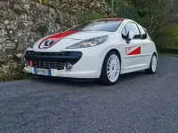 Usata Peugeot 207 GTi 174 CV (127 kW) 2008 Bianco Berlina