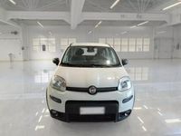 Usata Fiat Panda 4x4 Wild 85 CV (62 kW) 2022 Utilitaria