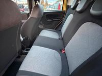 Usata Fiat Panda 4x4 S 95 CV (69 kW) 2018 Giallo Utilitaria
