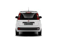 Usata Fiat Panda S 70 CV (51 kW) 2023 Bianco Utilitaria