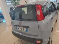Usata Fiat Panda Easy 69 CV (50 kW) 2019 Grigio Utilitaria