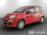 Nuova Fiat Panda Icon 65 CV (47 kW) 2026 (red) pastello Utilitaria