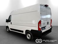 Usata Opel Movano S 140 CV (102 kW) 2024 Bianco icy pastello bianco icy pastello Furgone