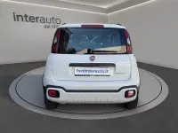 Usata Fiat Panda Cross Cross 69 CV (50 kW) 2023 Bianco pastello Utilitaria
