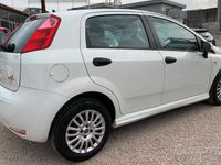 usata Fiat Punto Street 5p