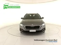 Usata Skoda Octavia Executive 116 CV (85 kW) 2023 Grigio Station wagon