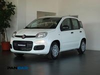 Nuova Fiat Panda S 69 CV (50 kW) 2025 Bianco Utilitaria