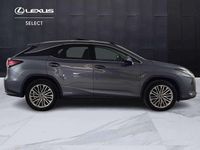 Usata Lexus RX450h Luxury Line 262 CV (192 kW) 2020 Grigio SUV