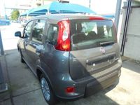 usata Fiat Panda 3ª serie 1.0 FireFly S&S Hybrid