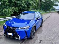 Usata Lexus UX 250h 145 CV (106 kW) 2024 SUV