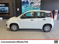 Usata Fiat Panda Easy 69 CV (50 kW) 2017 Bianco Utilitaria